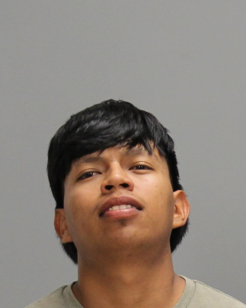 CASTRO, DAVID ROJO arrested by Bryan Police Department