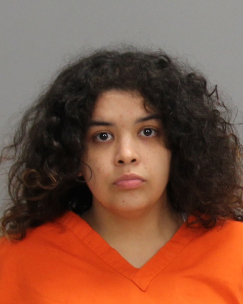DIAZ-GARCIA, VERINCA MARIE arrested by Brazos County Sheriff’s Office