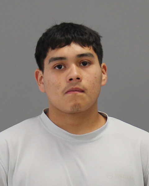 GUADARRAMA, FRANCISCO arrested by Bryan Police Department