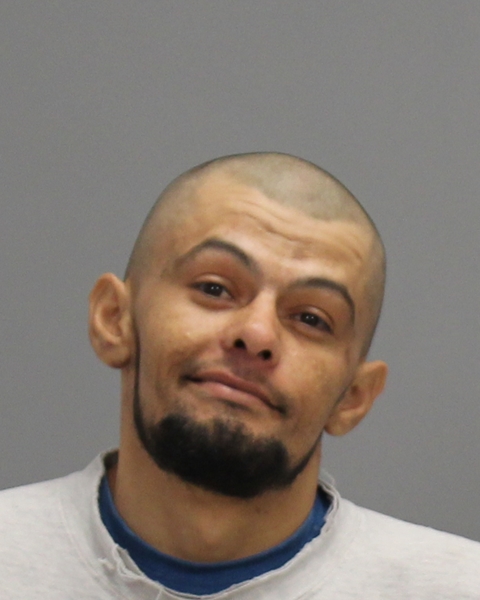 LOFTON, BRODIE LANE arrested by Bryan Police Department