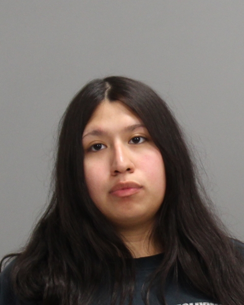 BRITO, MIKAYLA MARITZA arrested by Bryan Police Department