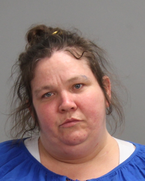 IRVAN, ELIZABETH MIRANDA arrested by Bryan Police Department