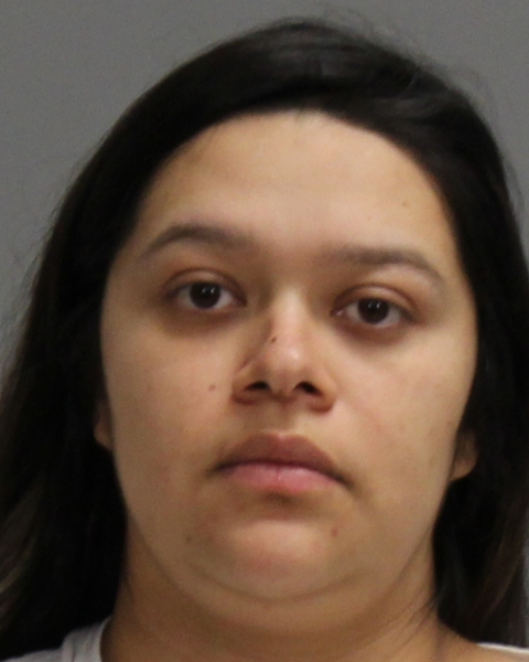 Diaz, Destiny arrested by Brazos County Sheriff’s Office