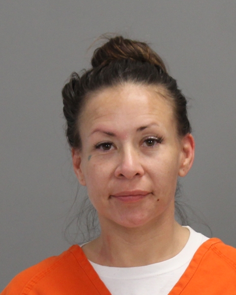 ALLEN, KRYSTINA MARIA arrested by Department of Public Safety