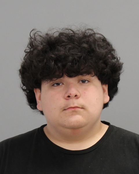 STEELE, FERNANDO DAVILA arrested by Bryan Police Department