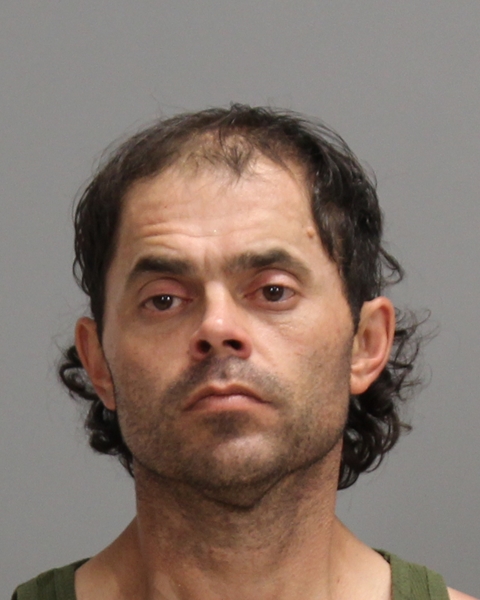 REED, THOMAS WESLEY arrested by Bryan Police Department