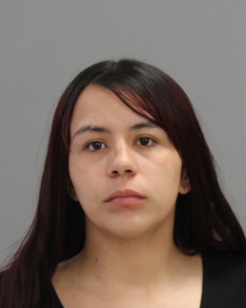 Wolf, Sabrina Renee arrested by College Station Police Department