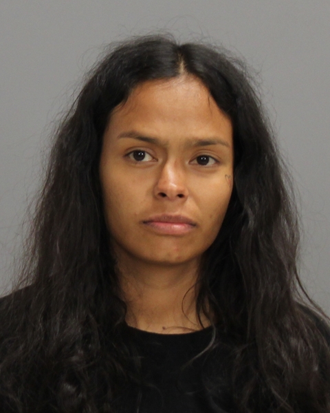 RICARTE, CYNTHIA RUTH booking photo