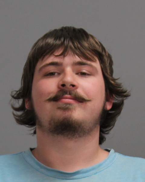 mullins, landyn eugene booking photo