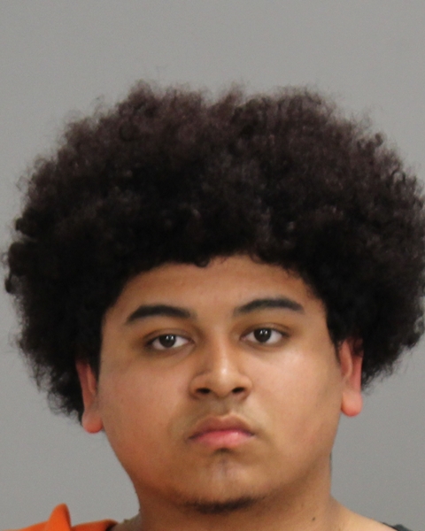 DE LA CRUZ, THOMAS OSCAR booking photo