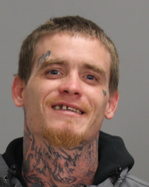 NEWTON, BRANDON LEE booking photo