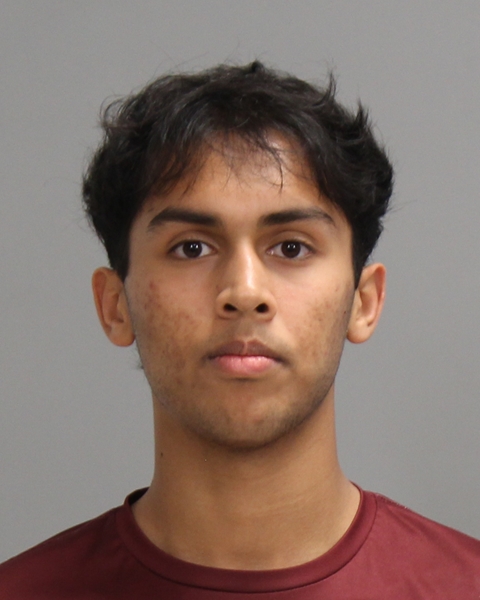 KARTHIK, SANJAY booking photo