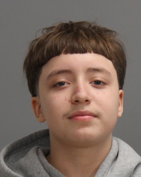 Villareal, Ashton booking photo