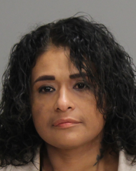 ESTRADA, ELIZABETH booking photo