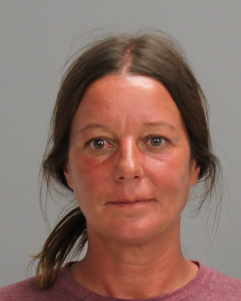 MCBRIDE, ANNA booking photo