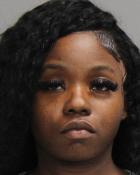 MONROE, CRISTINA NICOLE booking photo