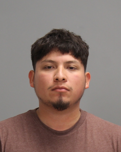 Estrada Hernandez, Victor Dani booking photo
