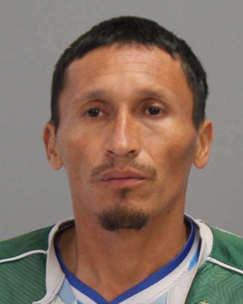 ULLOA AYALA, OSCAR ALEXCI booking photo