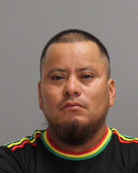 PINEDA GOMEZ, OSCAR ALBERTO booking photo