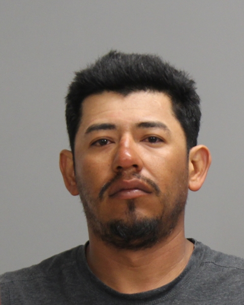 ALVARADO, ANTONIO booking photo