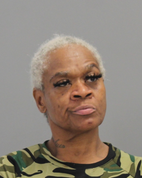 BROWN, CAROL ANN booking photo