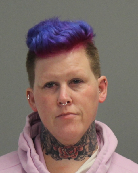 MARTIN, THERESA ANN booking photo