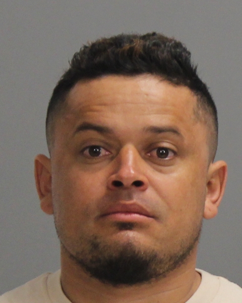 ERAZO LAGOS, ERLING booking photo