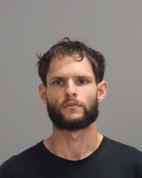 RICKS, SETH MICHAEL booking photo