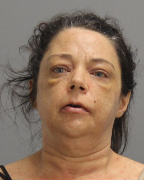 JANNER, SUSAN ANN booking photo