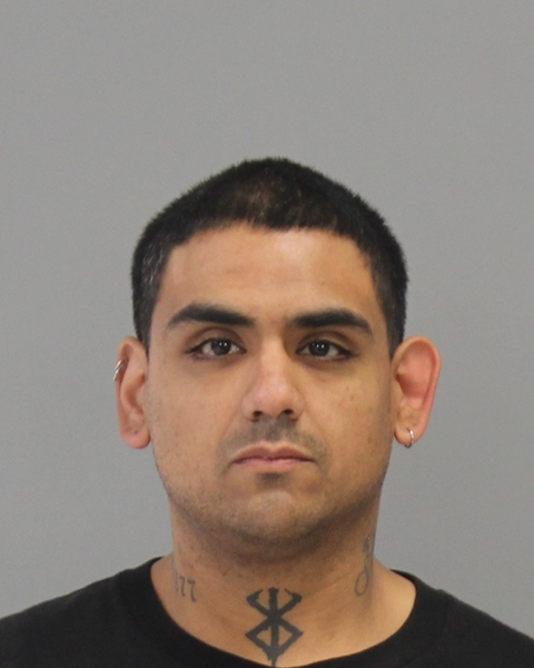 REYNA, PAUL, IV booking photo