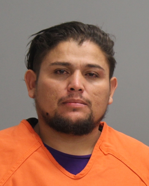 CASTRO HERNANDEZ, GEORGEN booking photo