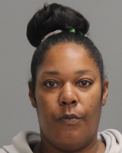 MORGAN, SANTRECIA PURIL booking photo