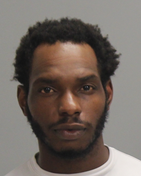 SMITH, DAVID WAYNE, Jr booking photo