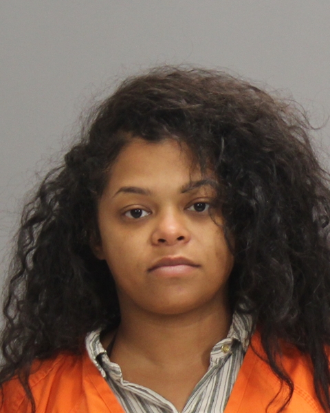 MITCHELL, DANIELLE DELAINE HOPE booking photo