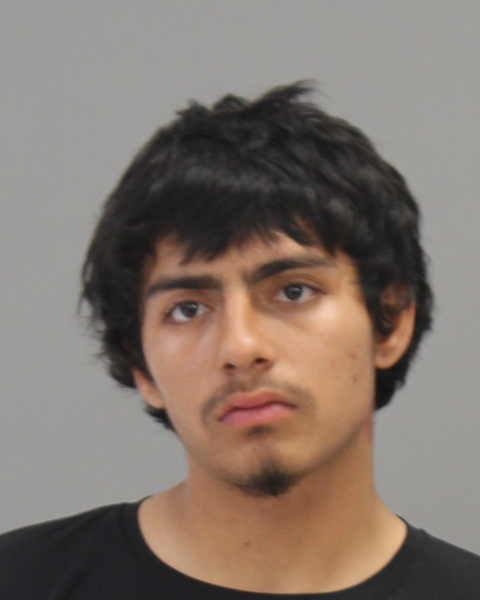 AMAYA, HILARIO TRINIDAD booking photo