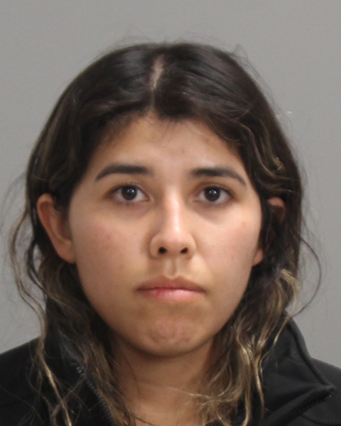 Sepulveda, Kimberly Sidummi booking photo