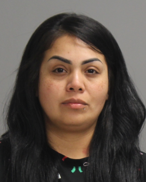ALVAREZ, RACHEL booking photo