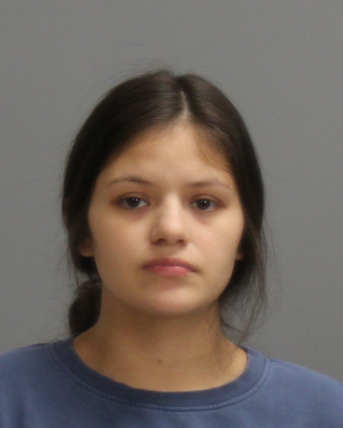 SALINAS, YUDITH booking photo