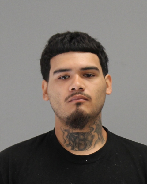 WAGNON, HANK ROBERT, Jr booking photo