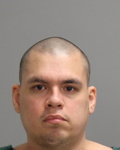 LOMELY, MICHAEL ANTHONY booking photo