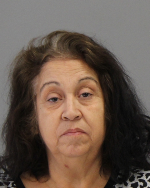 CASTELAN, ROSALINDA booking photo