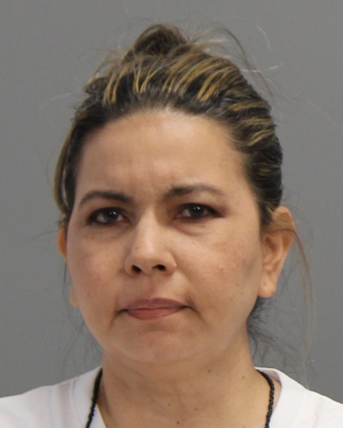 CLAVIJO, CLAUDIA MARCELA booking photo