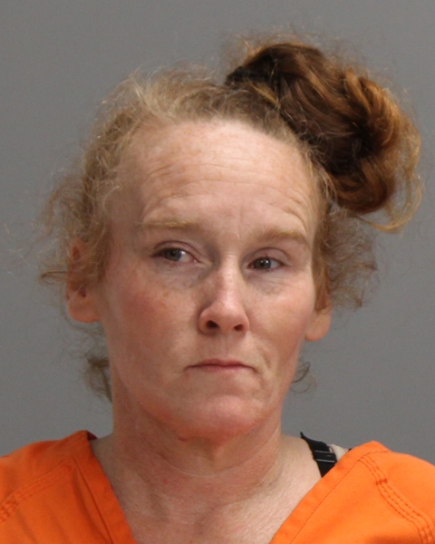 ENGLE, MISTY IRENE booking photo