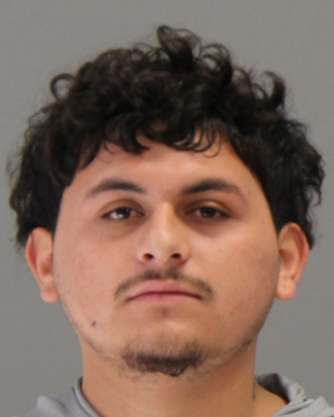 Trevino Palomares, Christian Jorge booking photo