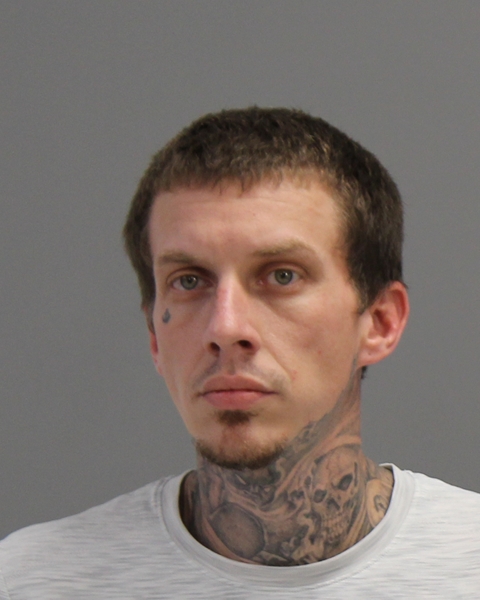 MARTIN, TODD JOEL booking photo