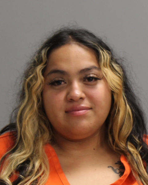 RAMIREZ, ROSALINDA MARIE booking photo