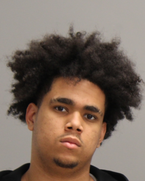 ASHLEY, DAKYRAN ZION booking photo