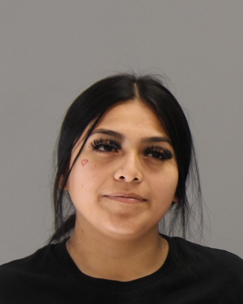 ALONSO, JASMINE ANAHI booking photo
