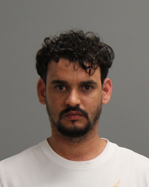 MARZO MARTINEZ, LUIS MIGUEL booking photo
