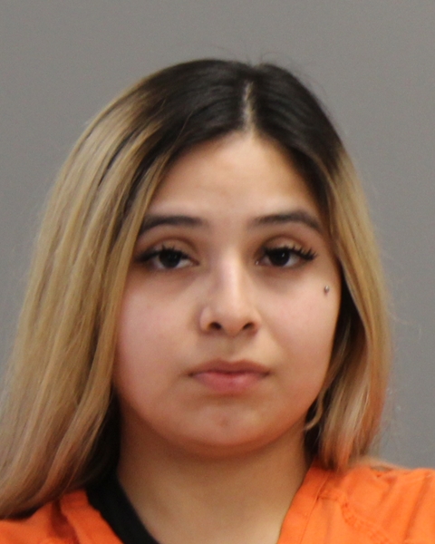 HERRERA, ALEXIS LISETTE booking photo